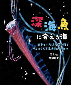 深海魚に会える海