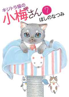 感想 ネタバレ キジトラ猫の小梅さん ７ のレビュー 漫画 無料試し読みなら 電子書籍ストア Booklive