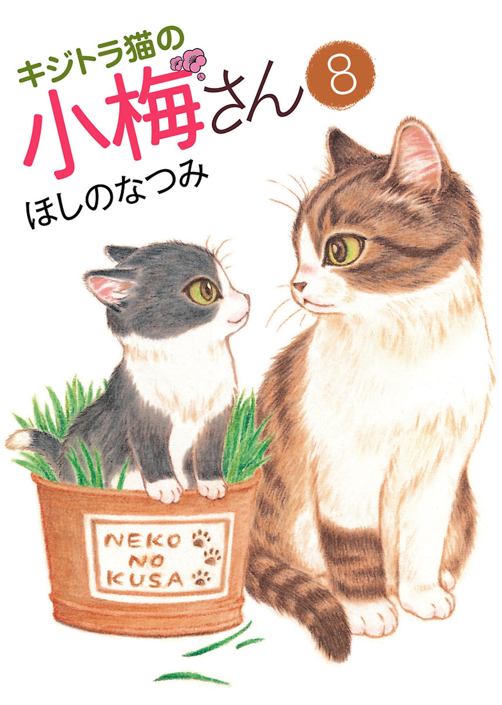 国際ブランド (ねこぱんちコミックス) キジトラ猫の小梅さん 1 子猫の ...