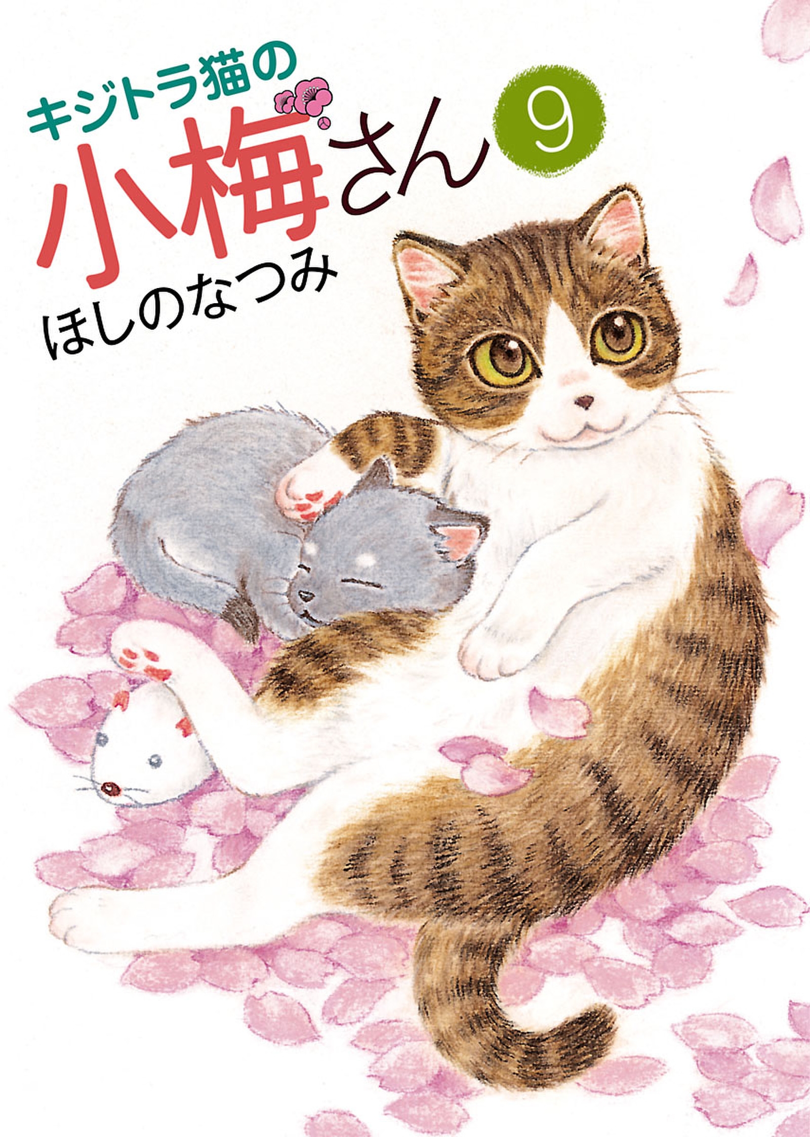 キジトラ猫の小梅さん（９） - ほしのなつみ - 漫画・ラノベ（小説 