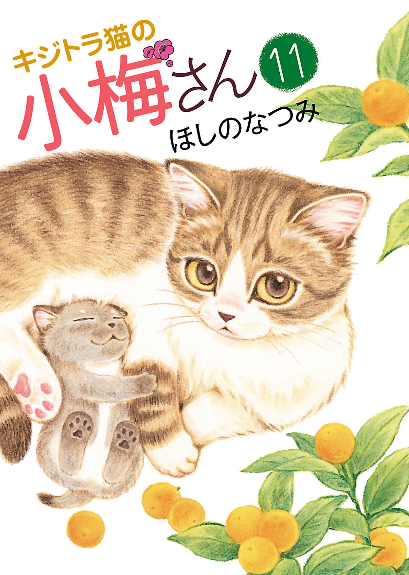 キジトラ猫の小梅さん（１１） - ほしのなつみ - 漫画・ラノベ（小説 