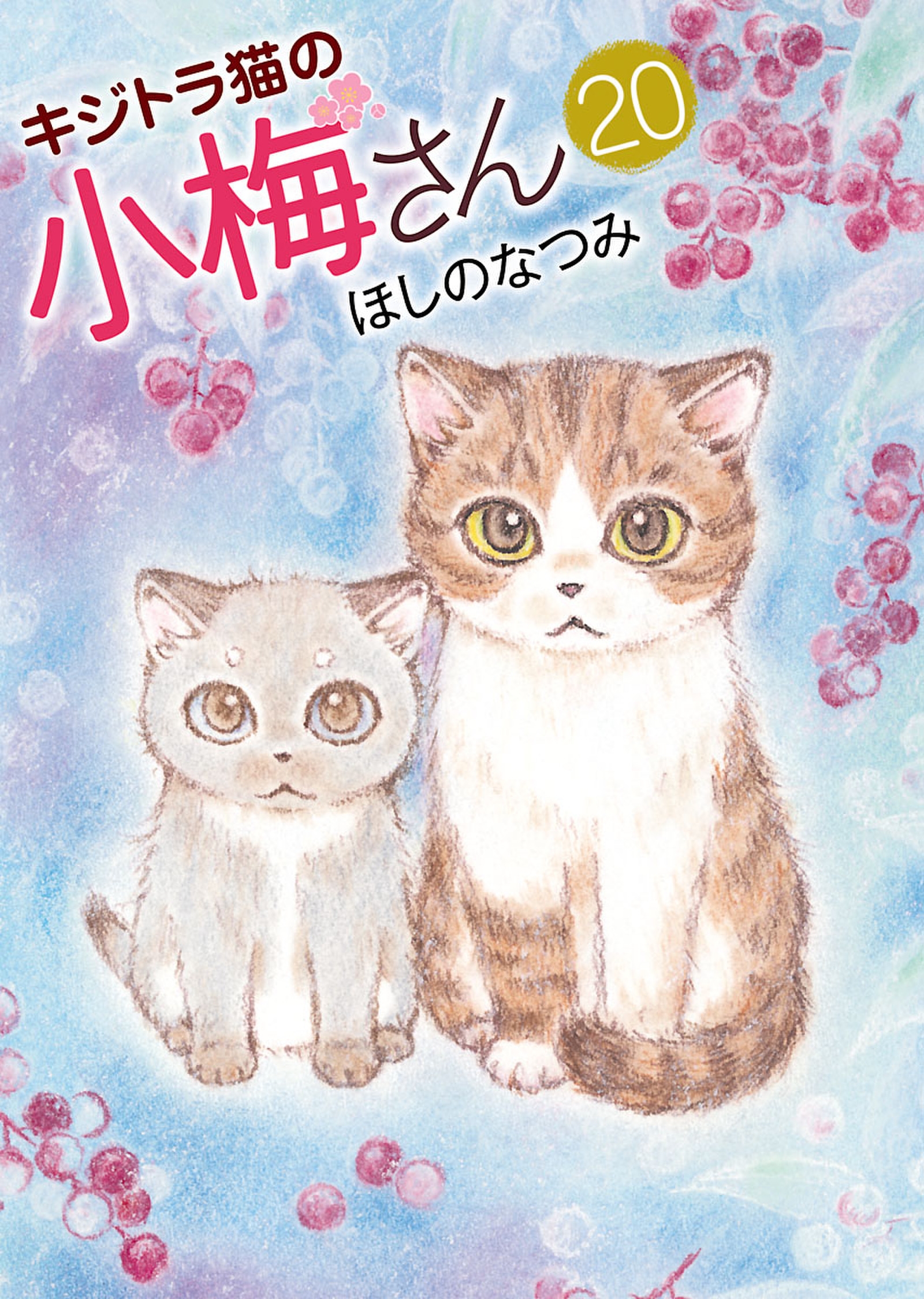 キジトラ猫の小梅さん（２０） - ほしのなつみ - 漫画・無料試し読み