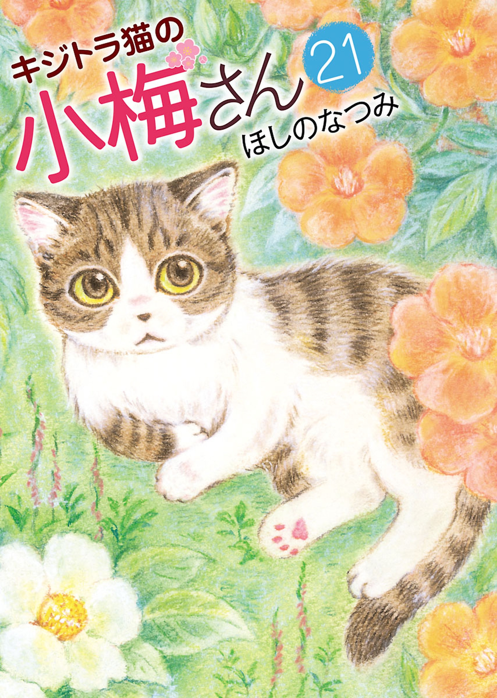 キジトラ猫の小梅さん ２１ ほしのなつみ 漫画 無料試し読みなら 電子書籍ストア ブックライブ