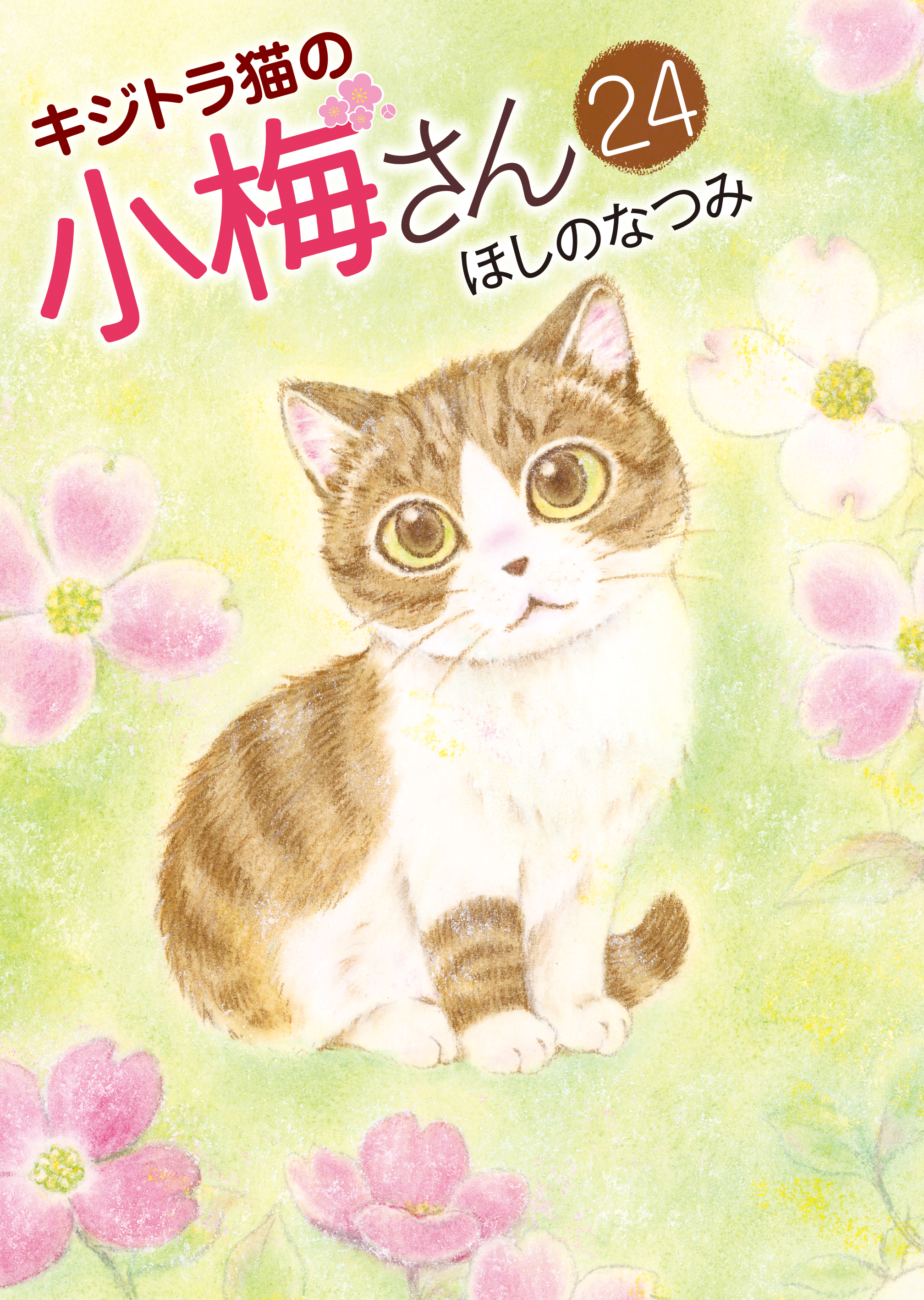 キジトラ猫の小梅さん (24)（最新刊） - ほしのなつみ - 漫画・ラノベ