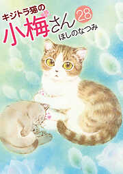 キジトラ猫の小梅さん