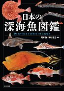 日本の深海魚図鑑