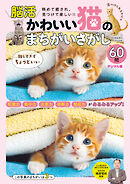 週刊実話 増刊　かわいい猫のまちがいさがし