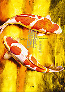 錦鯉　～宮澤正明写真集～