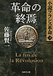 革命の終焉　小説フランス革命１８