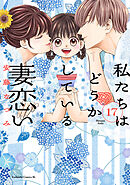 私たちはどうかしている　妻恋い　分冊版（１７）