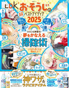 晋遊舎ムック　LDKおそうじの超ベストアイディア2025
