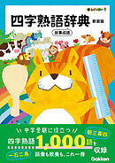 新レインボー 四字熟語辞典 新装版 故事成語