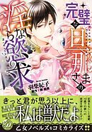 【期間限定　試し読み増量版】完璧な旦那さまの淫らな慾求