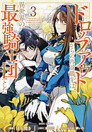 ドロップアウトからの再就職先は、異世界の最強騎士団でした 3