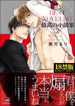 最高の小説家【極】【電子限定かきおろし漫画付】　2