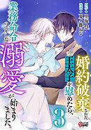 婚約破棄された王太子を慰めたら、業務命令のふりした溺愛が始まりました。 （3）