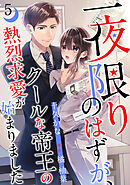 一夜限りのはずが、クールな帝王の熱烈求愛が始まりました【分冊版】5話