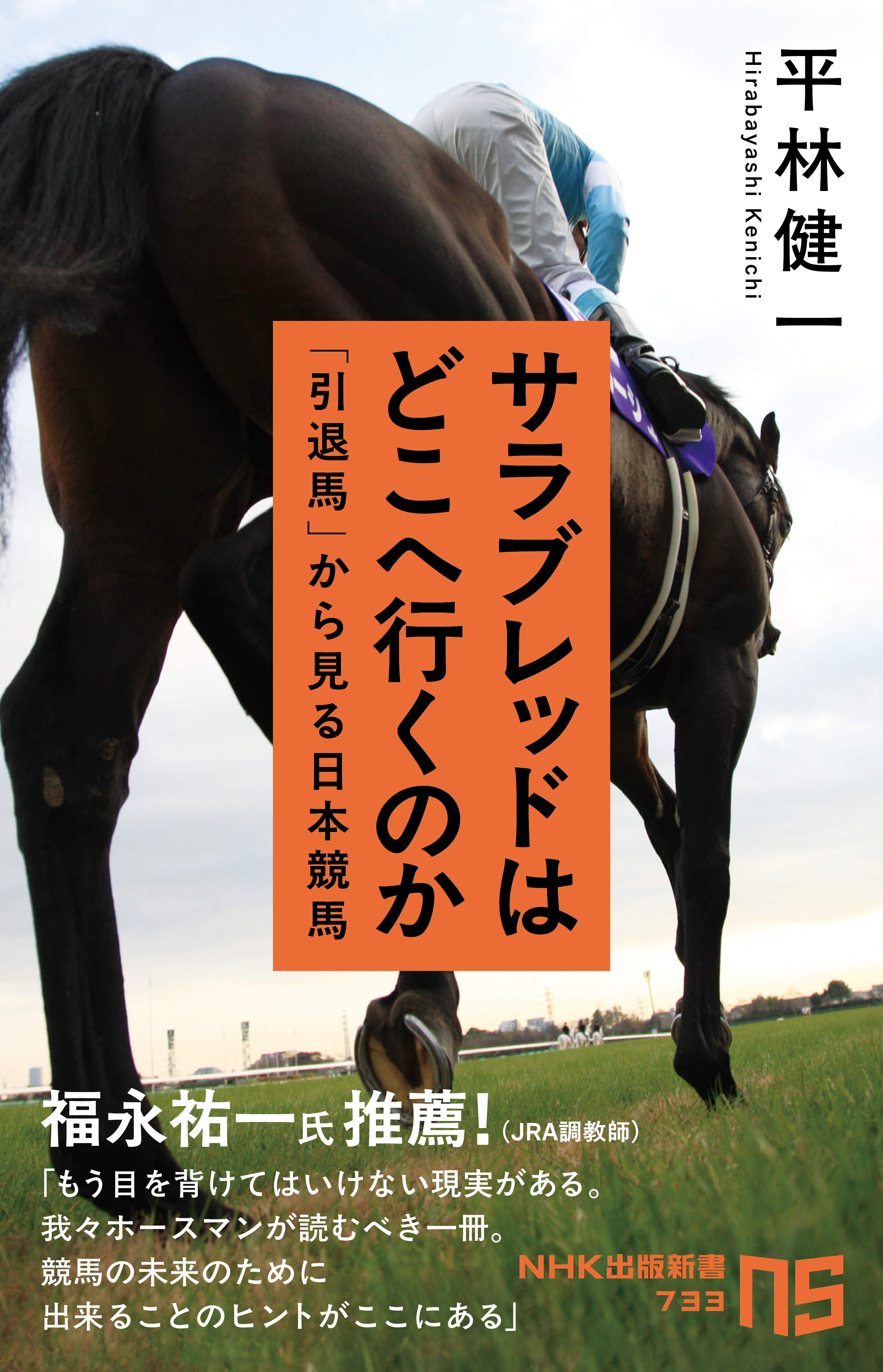 サラブレッドはどこへ行くのか 「引退馬」から見る日本競馬 - 平林健一 - ビジネス・実用書・無料試し読みなら、電子書籍・コミックストア ブックライブ