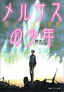 メルサスの少年　螺旋の街の物語