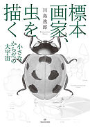 標本画家、虫を描く――小さなからだの大宇宙