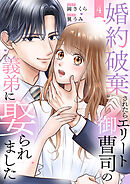 婚約破棄されたらエリート御曹司の義弟に娶られました４