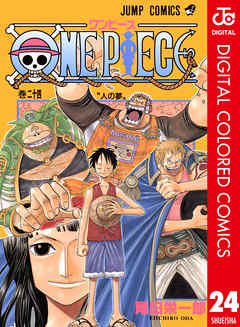 ONE PIECE カラー版 24