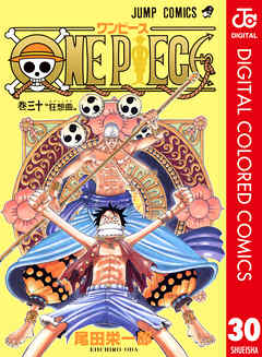 ONE PIECE カラー版