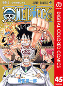 ONE PIECE カラー版 45