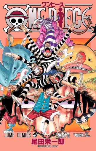 One Piece カラー版 55 尾田栄一郎 漫画 無料試し読みなら 電子書籍ストア ブックライブ