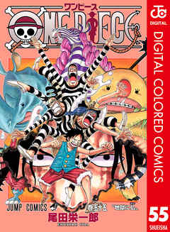 ONE PIECE カラー版 55