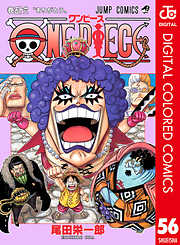 ONE PIECE カラー版