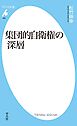 集団的自衛権の深層