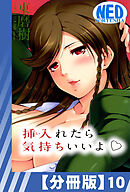 【分冊版】挿入れたら気持ちいいよ（１０）
