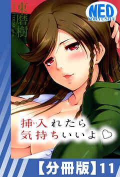 【分冊版】挿入れたら気持ちいいよ（１１）