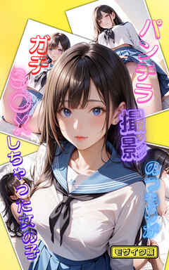 パンチラ撮影会のつもりがガチS〇Xしちゃった女の子 モザイク版