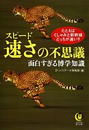速さ（スピード）の不思議面白すぎる博学知識