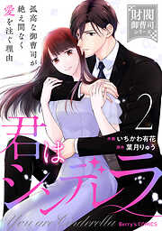 君はシンデレラ～孤高な御曹司が絶え間なく愛を注ぐ理由～【財閥御曹司シリーズ】