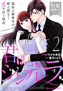 君はシンデレラ～孤高な御曹司が絶え間なく愛を注ぐ理由～【財閥御曹司シリーズ】2巻