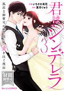 君はシンデレラ～孤高な御曹司が絶え間なく愛を注ぐ理由～【財閥御曹司シリーズ】3巻