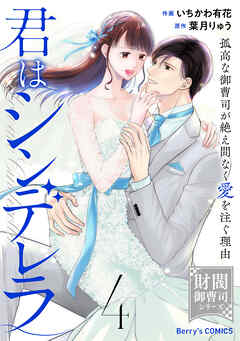 君はシンデレラ～孤高な御曹司が絶え間なく愛を注ぐ理由～【財閥御曹司シリーズ】4巻