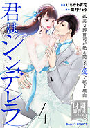 君はシンデレラ～孤高な御曹司が絶え間なく愛を注ぐ理由～【財閥御曹司シリーズ】4巻