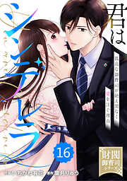 comic Berry’s君はシンデレラ～孤高な御曹司が絶え間なく愛を注ぐ理由～【財閥御曹司シリーズ】16巻