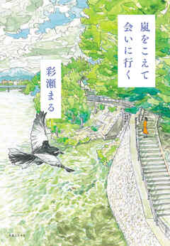 嵐をこえて会いに行く