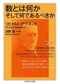 数とは何かそして何であるべきか