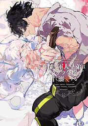 有能な軍人皇弟はカタブツ令嬢を甘く溺愛する