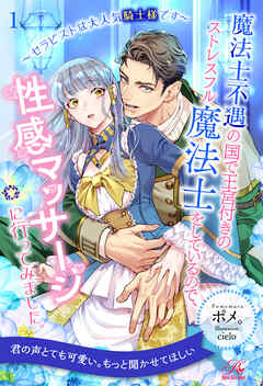 魔法士不遇の国で王宮付きのストレスフル魔法士をしているので、性感マッサージに行ってみました。　～セラピストは大人気騎士様です～【１】