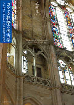 ゴシック建築の考古学　トリフォリウムからみる建設技術史