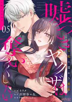 嘘つきヤクザは奪いつくしたい～甘い支配に濡れる蜜夜 5