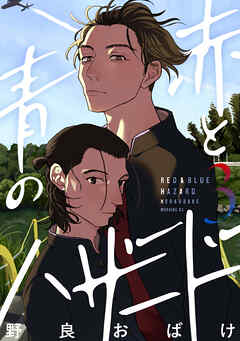 赤と青のハザード