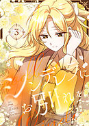 シンデレラにお別れを 3